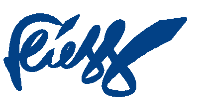 Fliess Logo